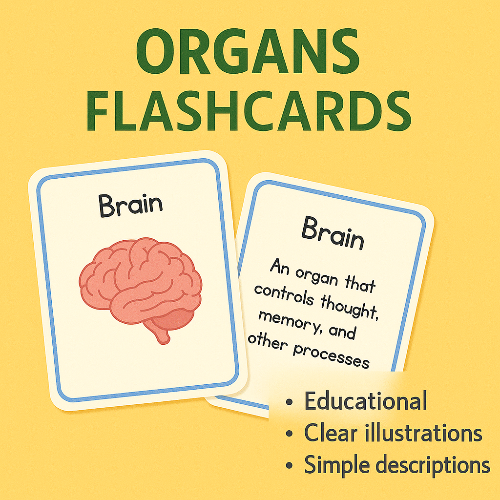 Organs FlashCards