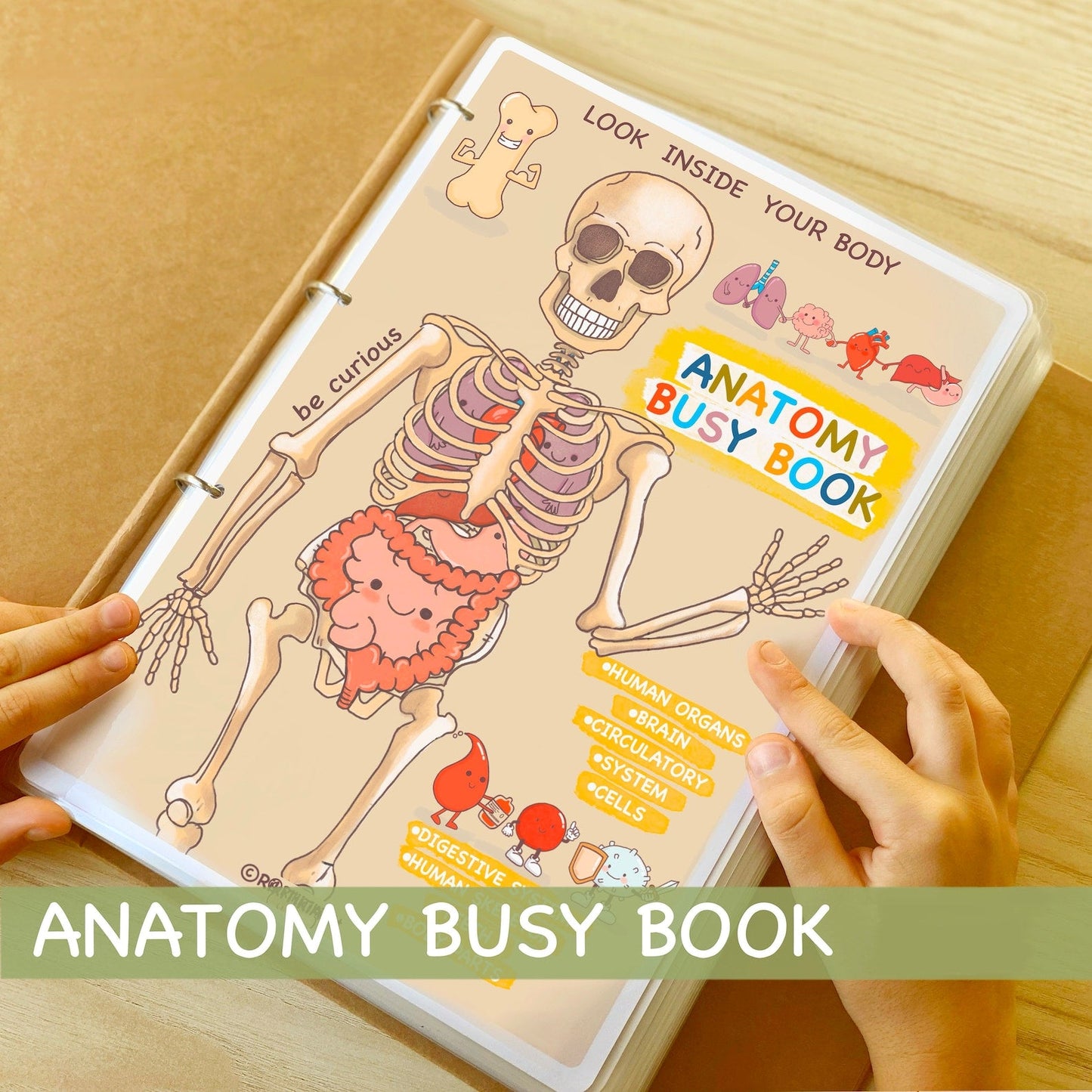 Human Anatomy Busy Book | Preschool Worksheets