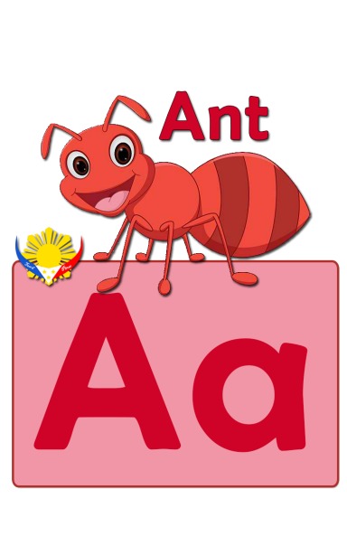 A-Z Alphabets Flash Cards